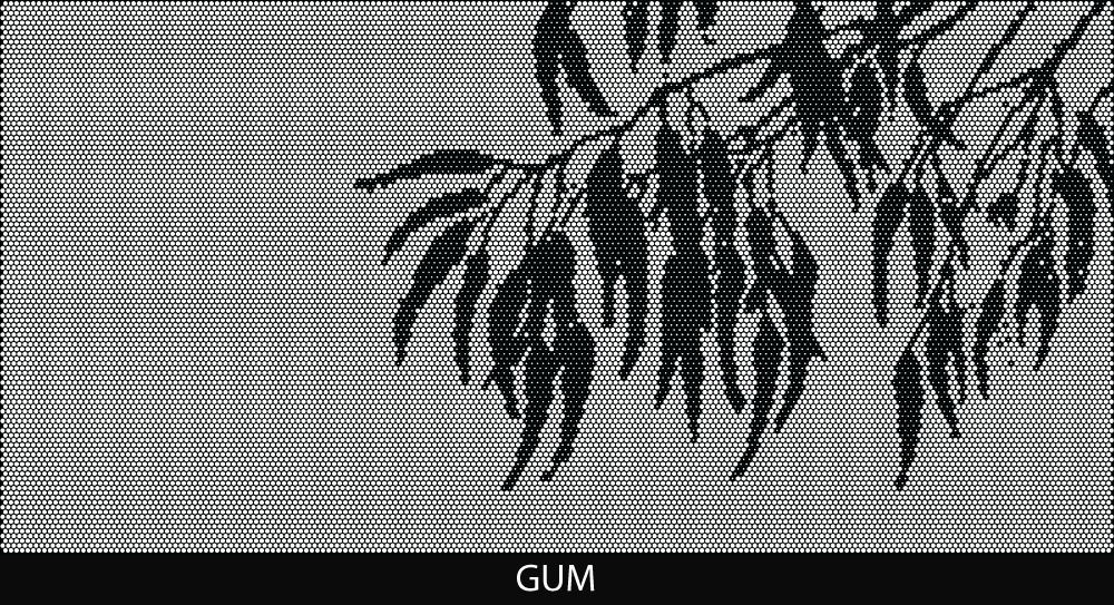 Gum perforated pool fencing design by Pool Perf