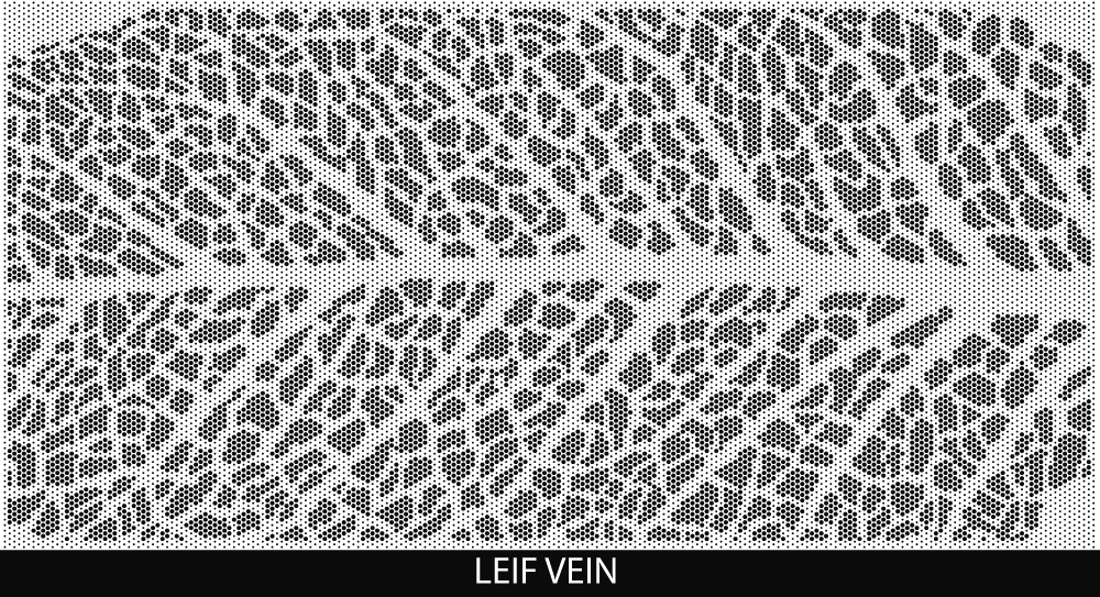 Leaf Vein perforated pool fencing design by Pool Perf