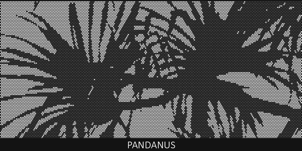 Pandanus perforated pool fencing design by Pool Perf